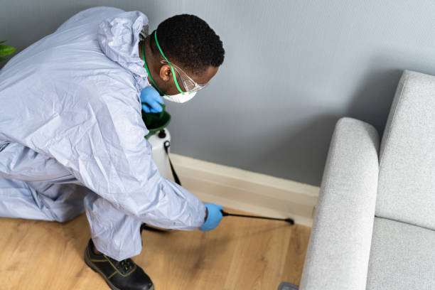 Best Real Estate Pest Inspections  in Ashtabula, OH